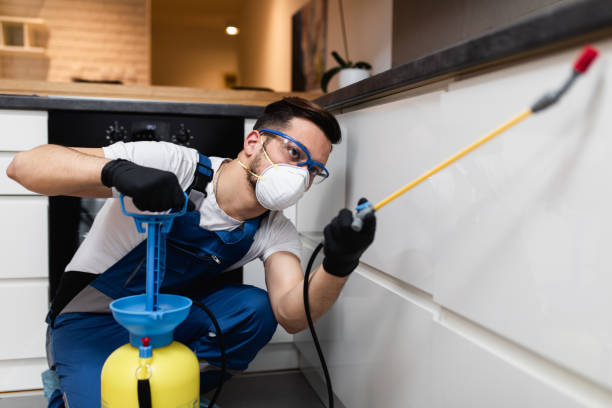 Reliable Marseilles, IL Pest Control Solutions