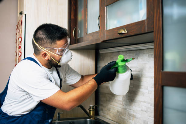 Best Best Pest Control Companies  in Marseles, IL