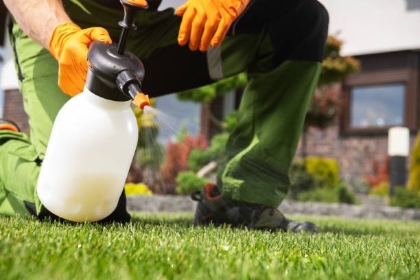 Best Ant Control Services  in Marseles, IL