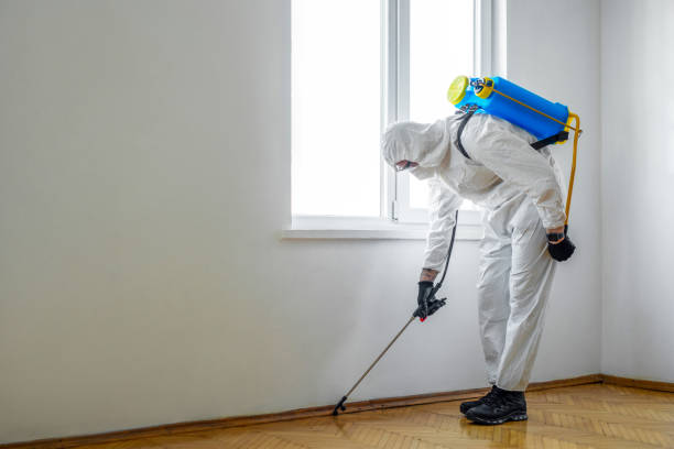 Best Best Pest Control Companies  in Marseles, IL