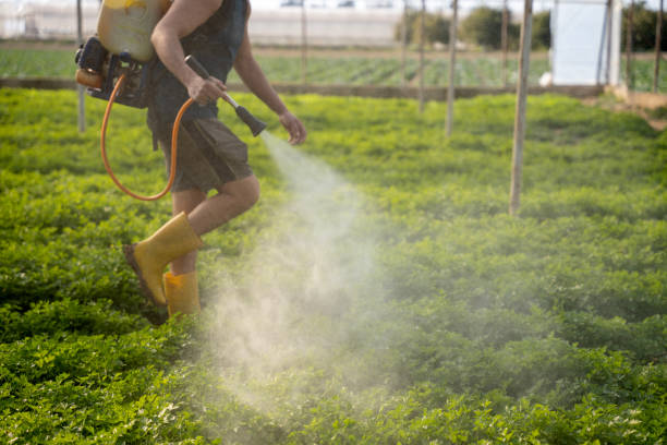 Best Pest Prevention Services  in Marseles, IL