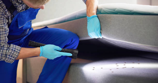 Best Pest Control Near Me  in Marseles, IL