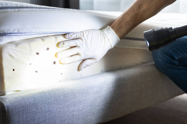 Best Affordable Pest Control Services  in Marseles, IL