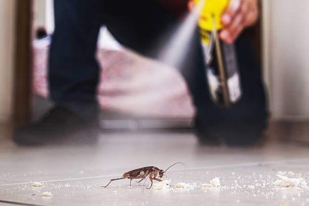 Best Spider Control Near Me  in Marseles, IL
