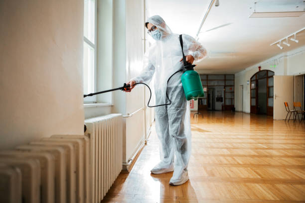 Best Wasp Removal Services  in Marseles, IL